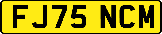 FJ75NCM