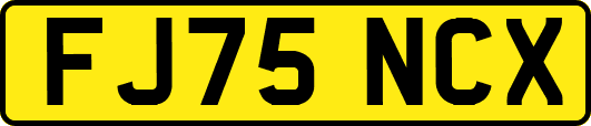 FJ75NCX