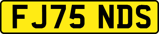 FJ75NDS