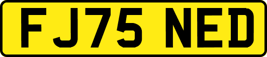 FJ75NED