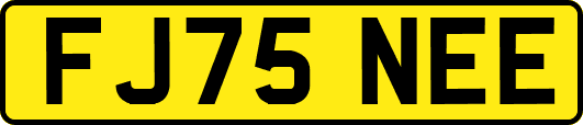 FJ75NEE
