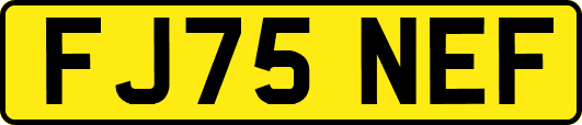 FJ75NEF