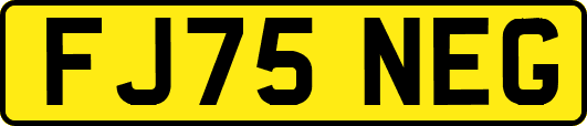 FJ75NEG