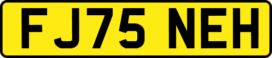 FJ75NEH