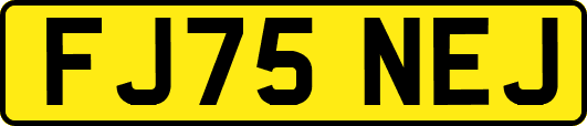FJ75NEJ