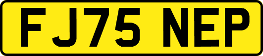 FJ75NEP