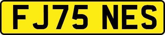 FJ75NES