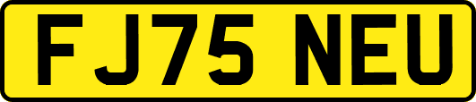 FJ75NEU