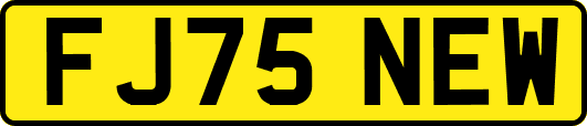 FJ75NEW