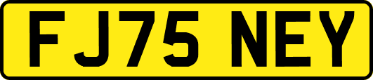 FJ75NEY