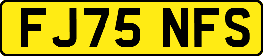 FJ75NFS