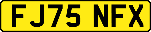 FJ75NFX