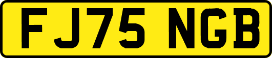 FJ75NGB