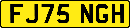 FJ75NGH