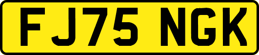 FJ75NGK