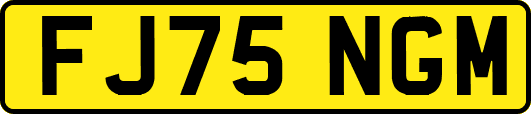 FJ75NGM