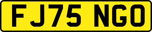 FJ75NGO