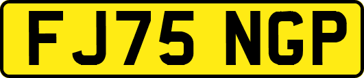 FJ75NGP