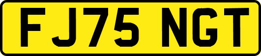 FJ75NGT