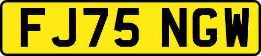 FJ75NGW