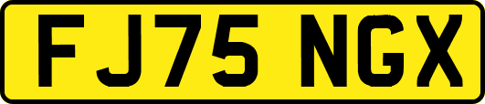 FJ75NGX
