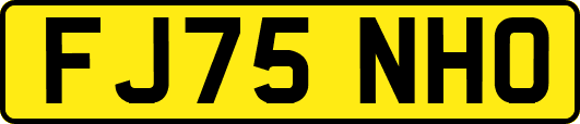 FJ75NHO