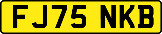 FJ75NKB