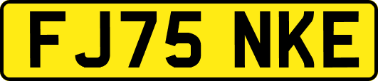 FJ75NKE