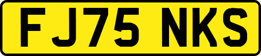 FJ75NKS