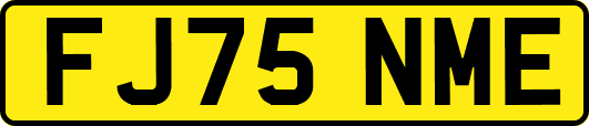 FJ75NME