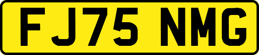 FJ75NMG