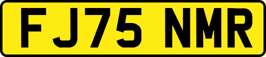 FJ75NMR