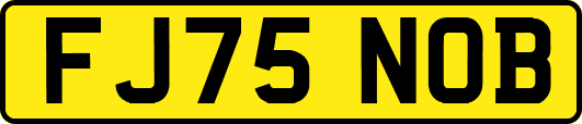 FJ75NOB