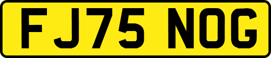 FJ75NOG