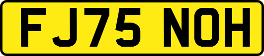 FJ75NOH