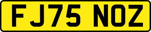 FJ75NOZ
