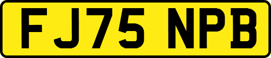 FJ75NPB