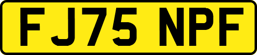 FJ75NPF