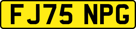 FJ75NPG