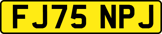 FJ75NPJ