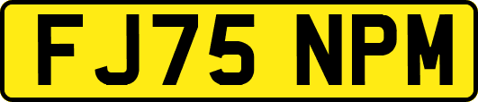 FJ75NPM
