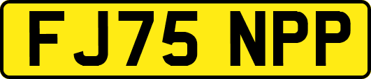 FJ75NPP