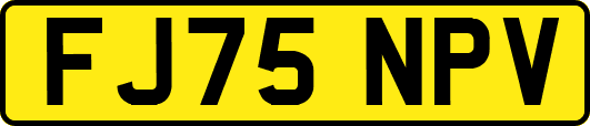 FJ75NPV