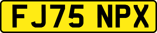 FJ75NPX