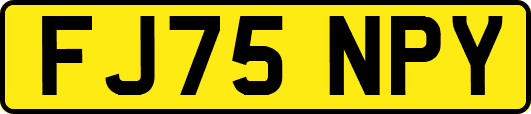 FJ75NPY