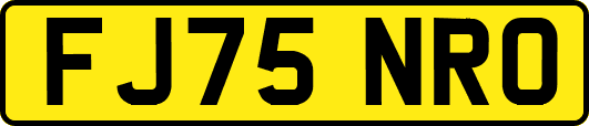 FJ75NRO