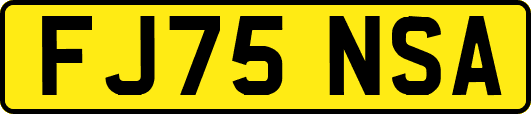 FJ75NSA