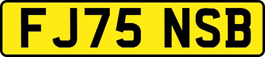 FJ75NSB