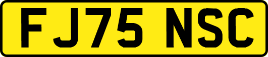 FJ75NSC