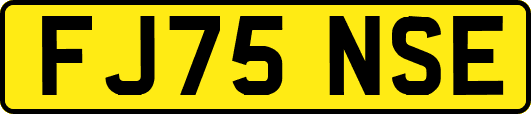 FJ75NSE